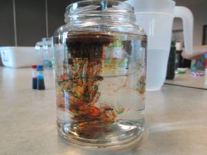 10703985_702161529832897_613950711532345949_n