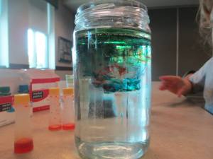 1972266_702161339832916_698240339399961902_n