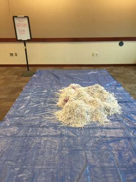 12187675_886729844709397_3042994085555914477_n