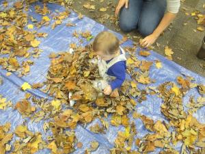 12241747_886728788042836_6901256409072361036_n