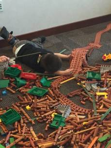 1927748_931051036943944_3329532514253528010_n