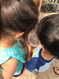 19420870_1302041783178199_8887947532394665448_n