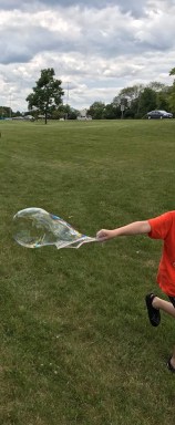 19437277_1306754052706972_28497404122916576_n