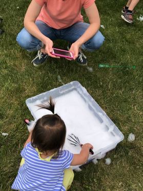 19554279_1306753486040362_7328514531448965389_n