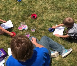 19554351_1306756516040059_2697513262365919868_n