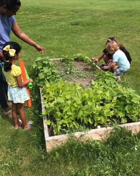 20476200_1333195653396145_6985618390996317310_n