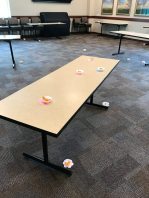 19884086_1319073004808410_1299006491524967941_n