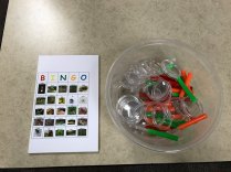 19884474_1319072741475103_700660626515961845_n