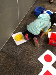 29365765_1534464729935902_780287680989626368_n